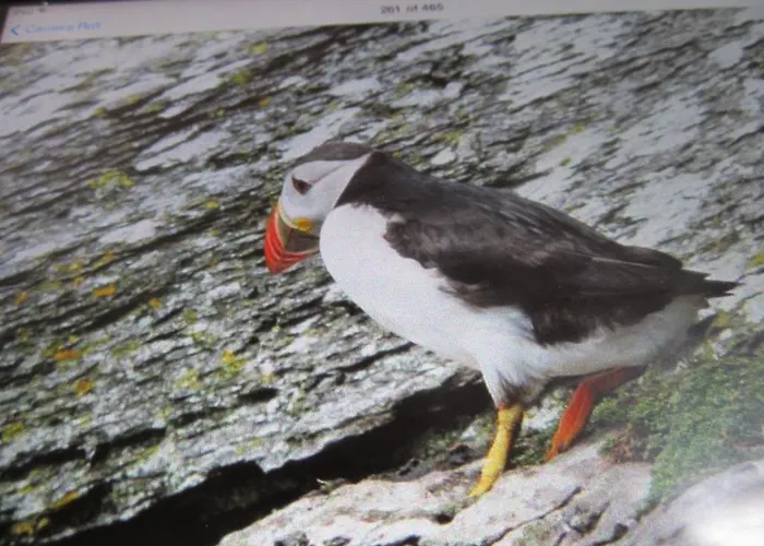 住宿加早餐酒店 Ocean View *